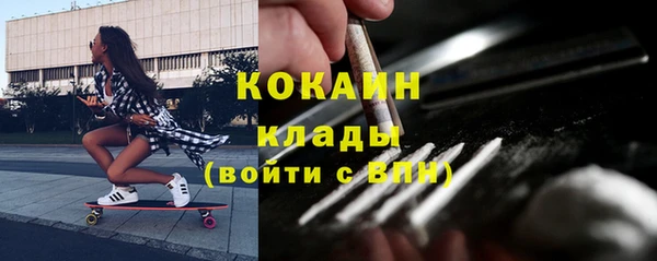 индика Михайловка