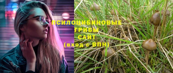 индика Михайловка