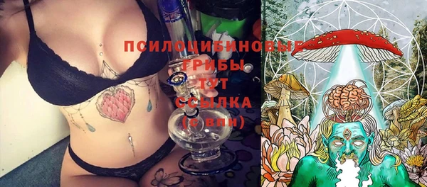 индика Михайловка
