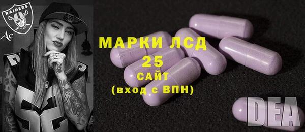индика Михайловка